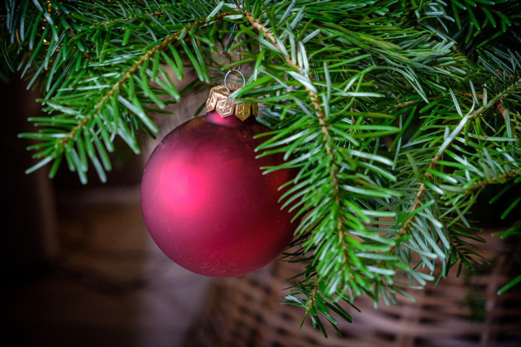 Feeling Festive merinoandtomatoes